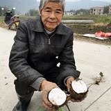 广西桂林土特产荔浦芋头农家有机新鲜蔬菜槟榔芋香芋特粉五斤包邮