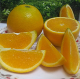 新鲜水果橙子秭归脐橙夏橙5斤农家纯天然时令手剥橙PK赣南脐橙