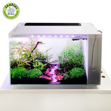 鱼缸水族箱小型 真水草造景加宽桌面创意超白玻璃生态鱼缸