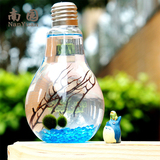 marimo幸福海藻球微景观生态瓶创意盆栽球藻日本灯泡微多肉植物