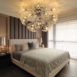 蒲公英欧式奢华浪漫创意卧室客餐厅吸顶灯现代简约LED水晶吸顶灯