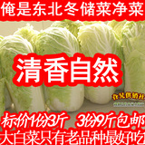 东北新鲜大白菜冬储菜无防腐剂农家自种老品种绿叶菜有机蔬菜净菜