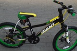 正品2015款捷安特ATX20-D儿童20寸全碟刹变速青少年山地自行车