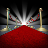 红地毯一次性 结婚 婚礼 婚庆红地毯 展会庆典加厚 活动 开业地毯