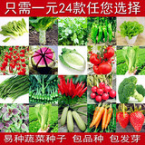 阳台盆栽蔬菜水果家庭套餐四季播易种菜种子菜籽白菜萝卜香菜