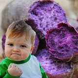 新鲜紫薯农家自产地瓜山芋有机蔬菜特级番薯黑薯小香薯特产5斤