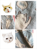 日本独家卡通办公室学生盖毯 猫咪珊瑚绒毯午睡毛毯限时包邮