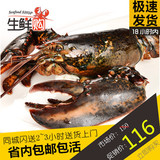加拿大龙虾鲜活海鲜水产进口波士顿大龙虾活虾1~10斤省内包活特价