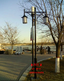 仿古中式庭院灯3米3.5米户外灯公园别墅灯景观灯道路灯双头灯笼