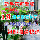 花种子套餐四季种易活鲜花盆栽植物阳台庭院花草室内播种花籽包邮