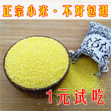 黄小米 农家自产小黄米 月子米宝宝熬粥 250g 五谷杂粮粮食新米
