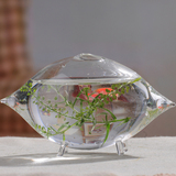创意桌面鱼缸手工透明玻璃生态水族箱办公室绿萝水培植物花瓶摆件