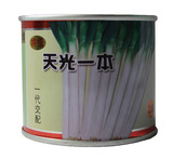 日本进口 特级天光一本 大葱种子 耐寒耐热高产抗病 大田 90g包邮