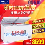 XINGX/星星BD/BC-956JD冷藏冷冻冰柜 卧式冷柜大商用茶叶柜