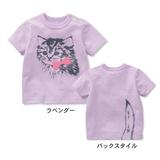 原单日本大牌男女宝宝纯棉圆领短袖T恤动物图案休闲百搭上衣