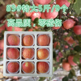 新鲜水果正宗山东烟台栖霞红富士苹果特大 85#8-9个甜脆5斤
