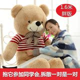 大熊毛绒玩具泰迪熊公仔1.6米1.8米熊熊1.4米可爱儿童节礼物女孩