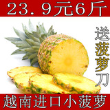 新鲜水果进口越南小菠萝胜泰国小菠萝香水都乐大菠萝凤梨香甜6斤