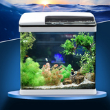 海星鱼缸水族箱 生态金鱼缸 智能LED灯迷你小型高清玻璃创意鱼缸