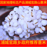 新货农家自产纯天然浦城特级薏米仁500g小粒苡仁祛湿美白杂粮