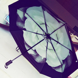 小黑伞雏菊全自动雨伞折叠蕉双层下超强防晒黑胶遮阳伞太阳伞女