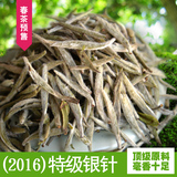 福鼎白茶白毫银针特级2016年毫香、十足100克春茶预售3月26日发货