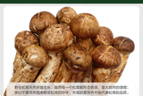 云南香格里拉9-12cm松茸500g 特产食品新鲜野生菌菇尊享礼盒 包邮