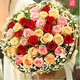 33朵红粉玫瑰鲜花速递重庆南昌兰州福州合肥纪念生日表白同城配送