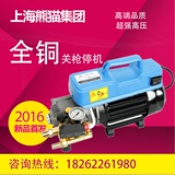 220V全铜上海熊猫汽车水枪电动洗车机便携家用高压清洗机刷车泵