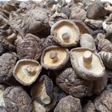 农家土特产野生椴木香菇 冬菇干货 剪脚菇小蘑菇食用菌 200g