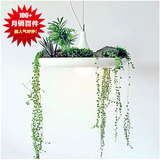 促销意大利设计艺术灯花盆空中花园盆栽植物北欧宜家餐厅创意吊灯