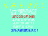 Lama日本专柜代购日本本土最高级护肤品资生堂&FACE化妆水200ml