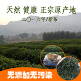 2016茶叶日照绿茶新茶散装特级农家嫩芽绿茶袋装茶叶250g包邮