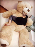 美国大熊大号公仔毛绒玩具2米泰迪熊抱抱熊布娃娃狗熊生日礼物女