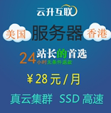 美国香港 vps 云主机海外国外代理专线SSD10M带宽月付 服务器租用