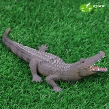 仿真鳄鱼模型PVC塑胶两栖爬行野生海洋动物早教道具儿童玩具礼品