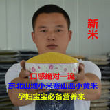 2015新小米东北农家小米黑龙江特产月子米非转基因250g