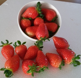 草莓新鲜草莓红颜奶油草莓新鲜水果有机草莓3盒2.2斤顺丰全国包邮