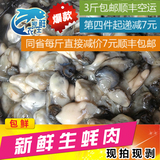 新鲜海蛎肉鲜活生蚝海鲜水产贝类现剥现卖生鲜海蛎牡蛎生蚝肉包邮