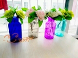 特价宜家彩色透明玻璃水培花瓶花器装饰摆件桌面插花西班牙风情