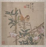 中国古代国画大师写意花鸟人物临摹教材  清 任伯年 花鸟42x40cm