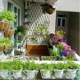 花种子套餐四季种易种活 庭院室内阳台盆栽花卉园艺种子包邮春播