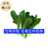 【老师粮心店】新鲜有机种植无公害蔬菜保鲜包装青菜500g
