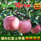 山东富士苹果烟台栖霞红富士新鲜水果正宗纯天然农家特产10斤85果