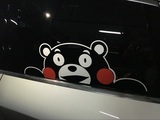 熊本熊Kumamon汽车全车贴 爬窗镂空车窗拉花 卡通车身贴纸 玻璃贴