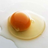 农家草鸡蛋 正宗土鸡蛋 笨鸡蛋 农家散养 只发当天蛋 新鲜的鸡蛋