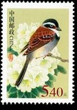 【集邮宝贝】普31R31中国鸟 普票 5.4元面值邮票 拍4枚给方连