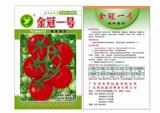 广东省农科院  蔬菜种子 金冠一号硬果番茄  石头番茄 原装5克