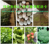 北京农家/新鲜有机蔬菜/水果/年套餐(青菜 鸡蛋)北京同城配送