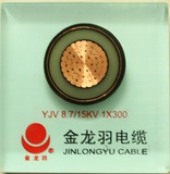 金龙羽电线电缆BVV10平方双胶多股7芯照明电线广东省名牌